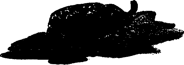 062/062260070400120_0.png