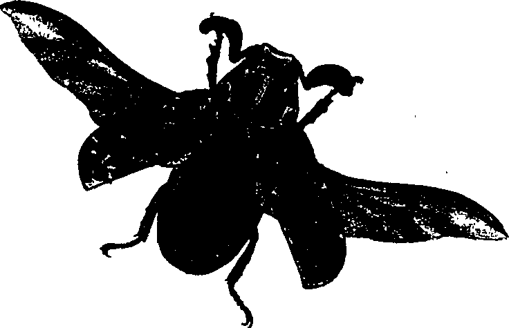 062/062260070400120_1.png