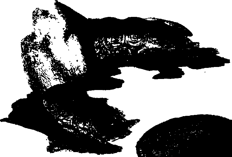 062/062260070400170_0.png