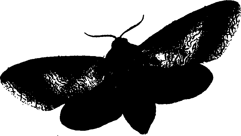 062/062260070400170_1.png