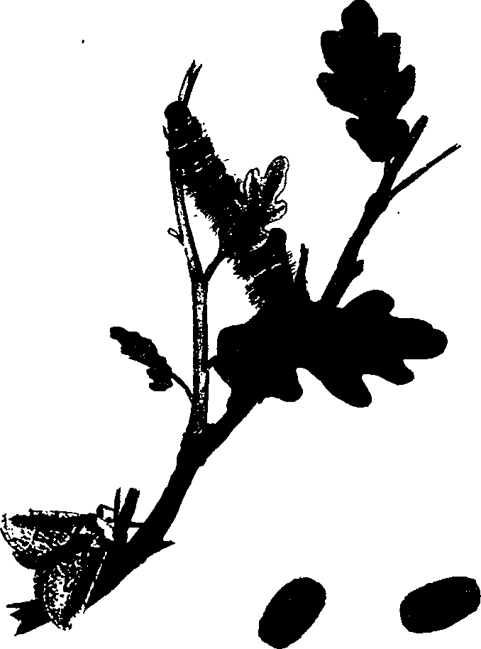 062/062260070400250_0.png