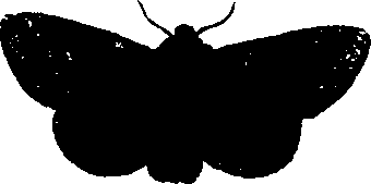 062/062260070400250_1.png