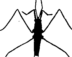 062/062260070400270_0.png