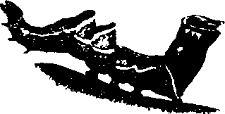 062/062260070400300_0.png