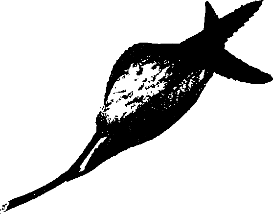 062/062260070400300_1.png