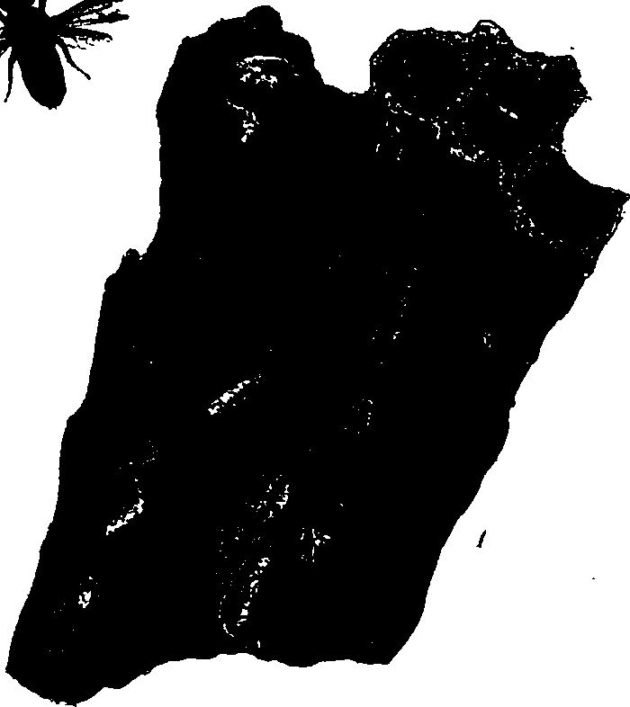 062/062260070400330_1.png