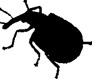 062/062260070400380_0.png