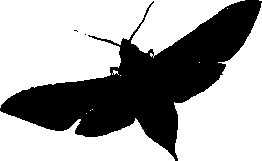 062/062260070400420_1.png
