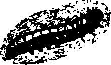 062/062260070400470_0.png