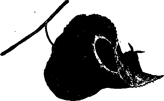 062/062260070400470_1.png