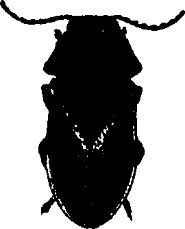 062/062260070400540_0.png