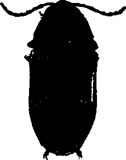 062/062260070400540_1.png