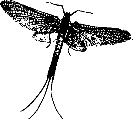 062/062260070400570_0.png