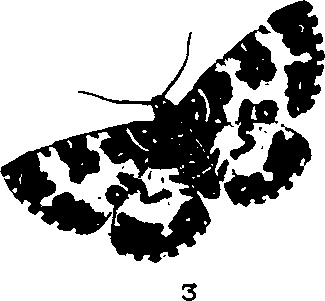 062/062260070400590_0.png