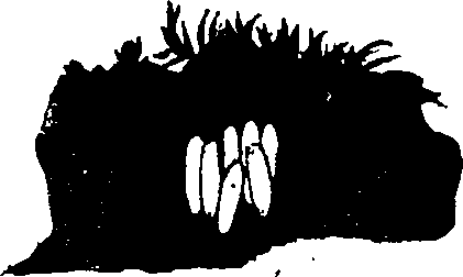 062/062260070400630_0.png