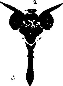 062/062260070400660_0.png
