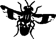 062/062260070400660_1.png