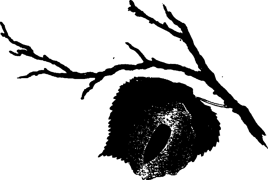 062/062260070400690_1.png