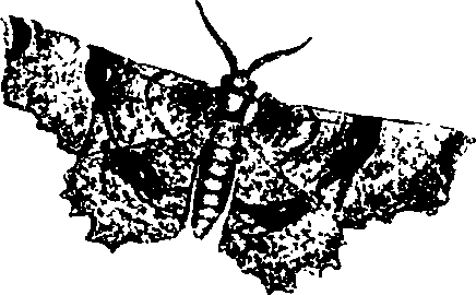 062/062260070400690_2.png