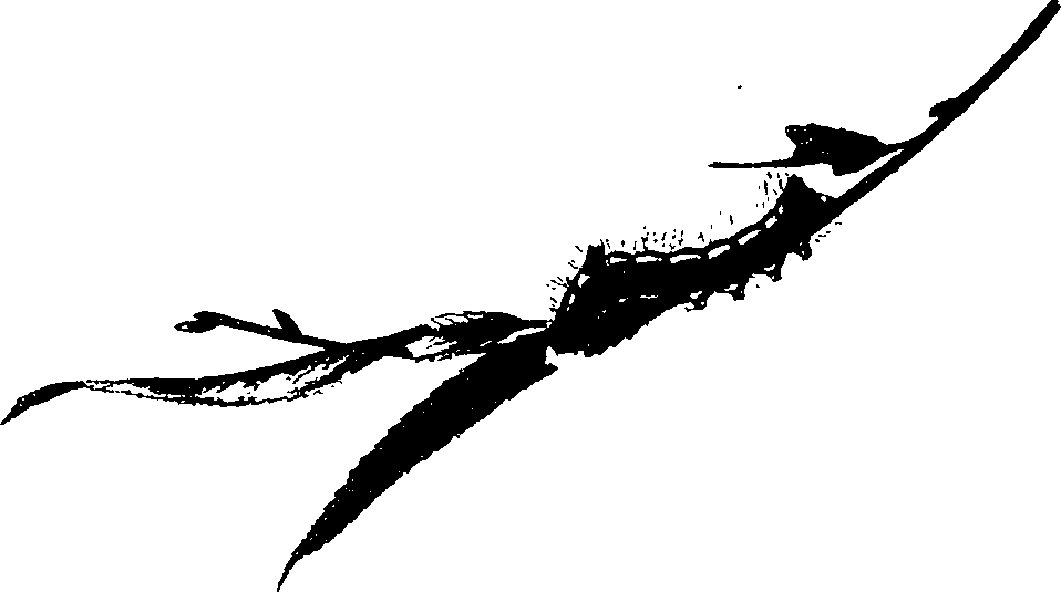 062/062260070400720_0.png
