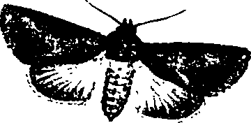 062/062260070400720_1.png