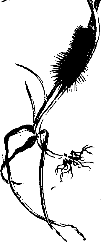 062/062260070400750_0.png