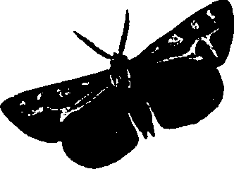 062/062260070400750_1.png
