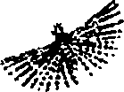 062/062260070400810_0.png