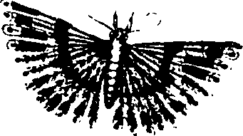 062/062260070400810_1.png