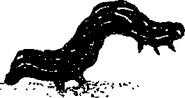 062/062260070400840_0.png