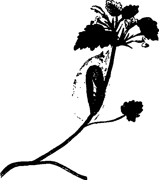 062/062260070400840_1.png