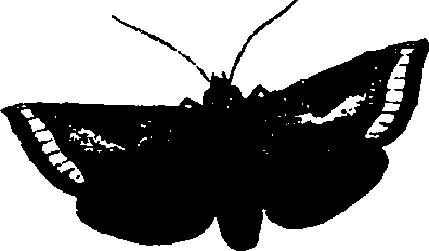 062/062260070400840_2.png