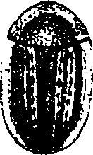 062/062260070400870_0.png