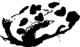 062/062260070400910_0.png
