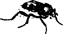 062/062260070400940_0.png
