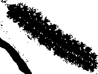 062/062260070400970_0.png
