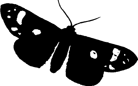 062/062260070400970_1.png