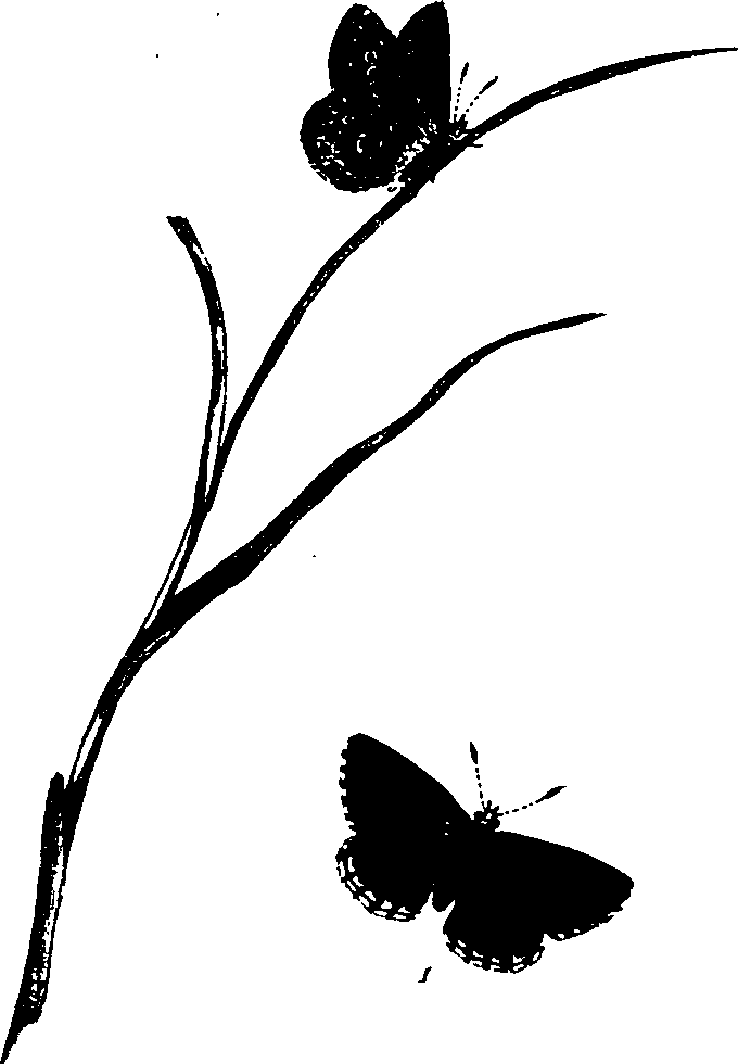 062/062260070401030_0.png