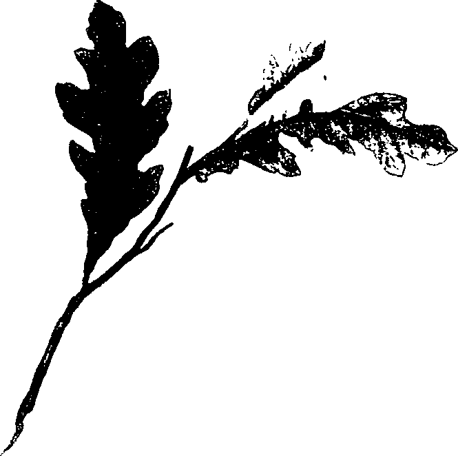062/062260070401060_0.png