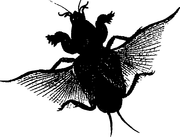 062/062260070500090_1.png