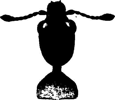 062/062260070500150_0.png