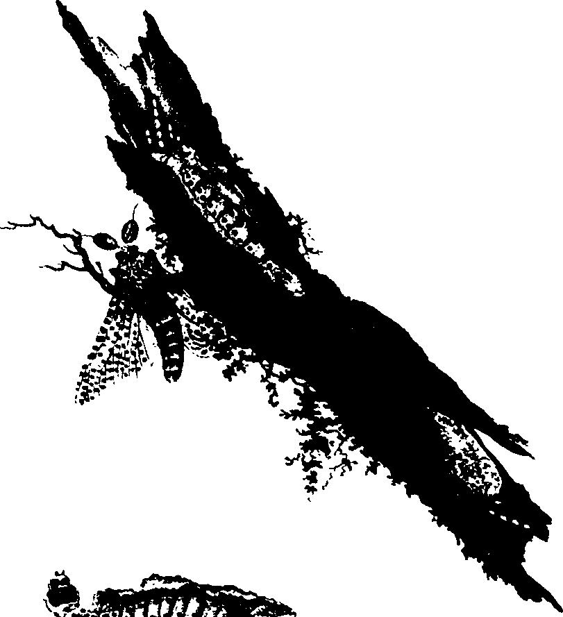 062/062260070500310_0.png