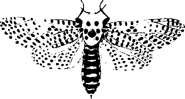 062/062260070500310_1.png