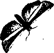 062/062260070500350_1.png