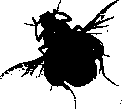 062/062260070500410_0.png