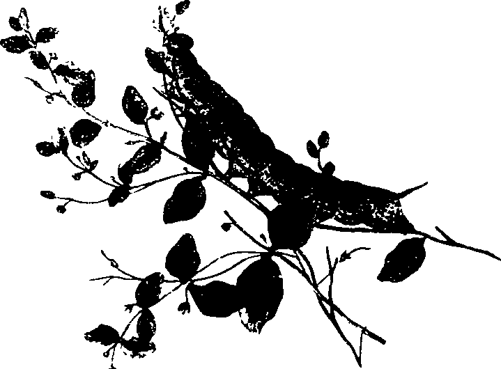 062/062260070500450_0.png