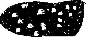 062/062260070500540_0.png