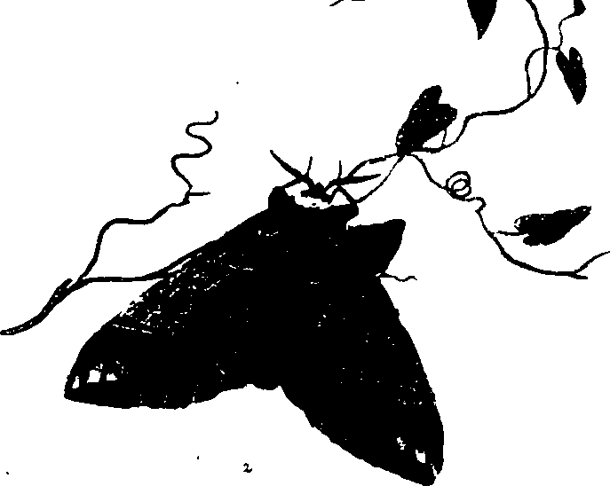 062/062260070500580_0.png