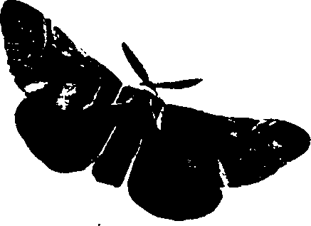 062/062260070500580_1.png