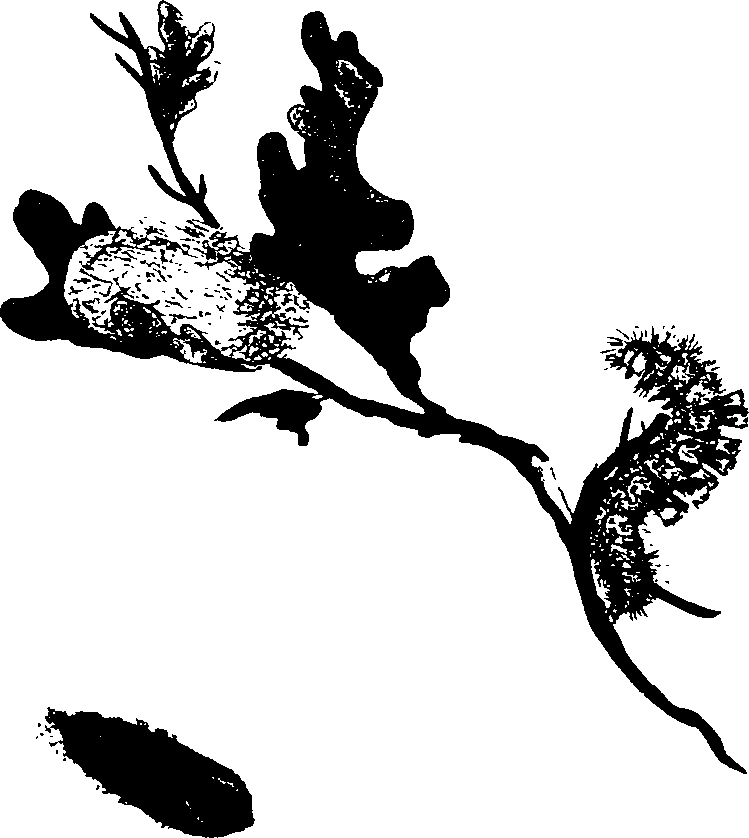 062/062260070500640_0.png